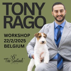 Tony Rago Workshop